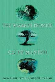The Wizards Promise
