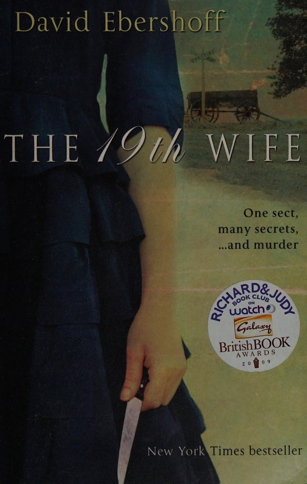 The 19th Wife