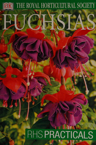 Fuchsias