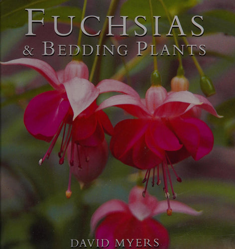 Fuchsias And Bedding Plants