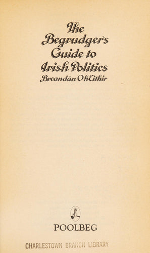 The Guide To Irish Politics