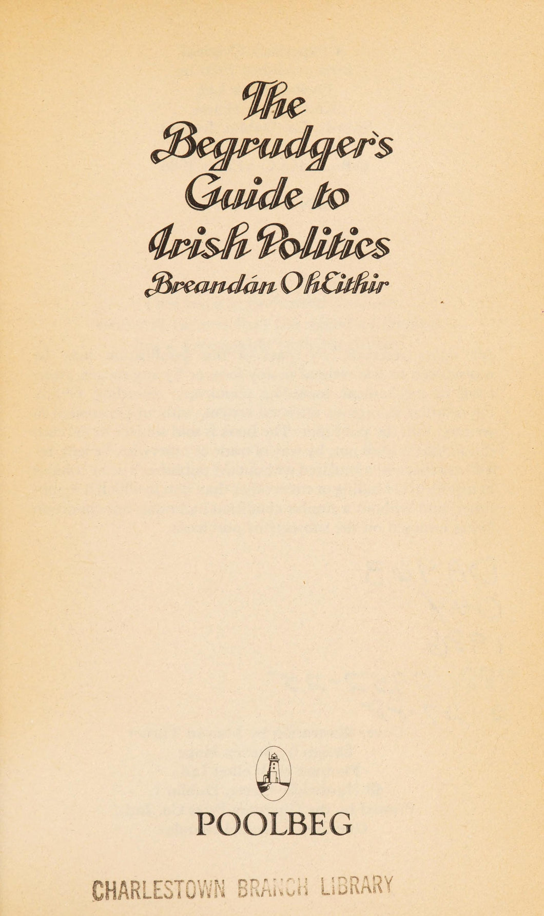 The Guide To Irish Politics