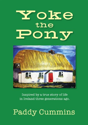 Yoke The Pony