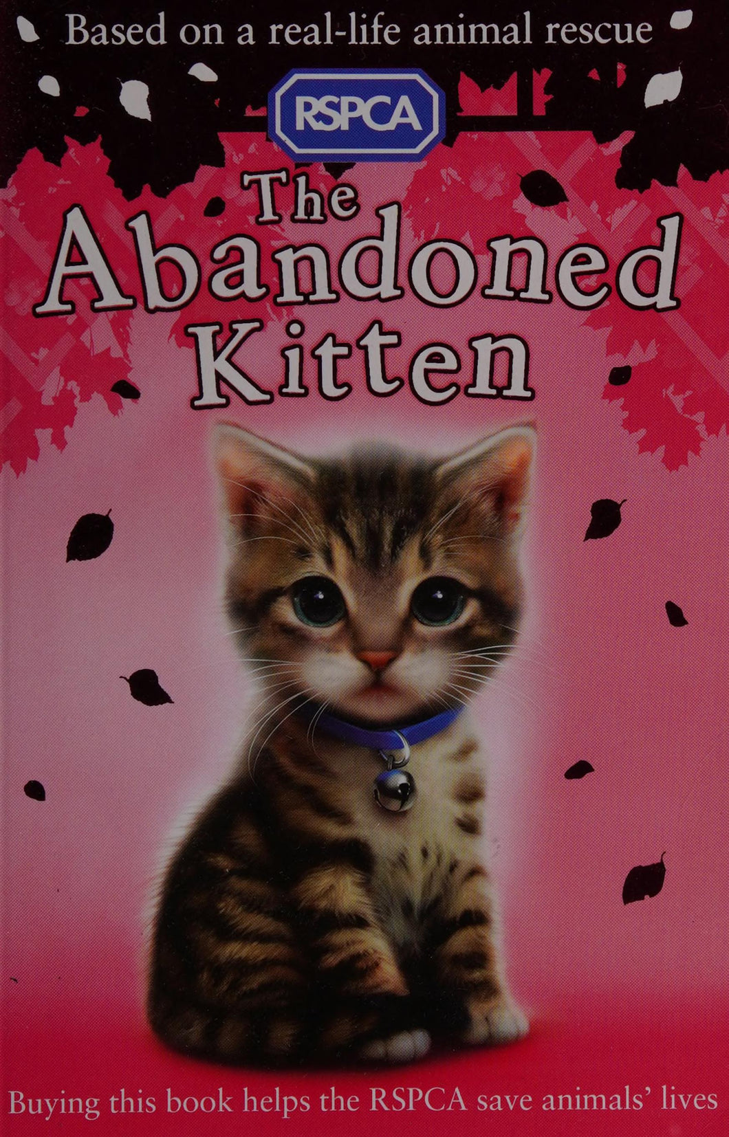 The Abandoned Kitten