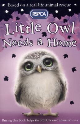 Little Owl Needs A Home