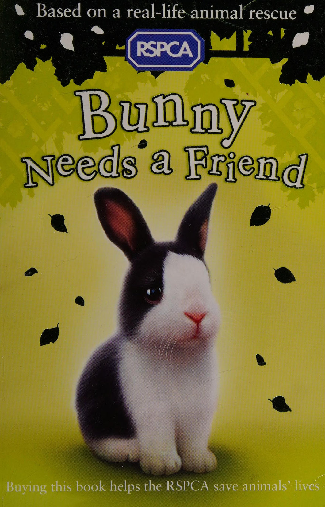 Bunny Needs A Friend