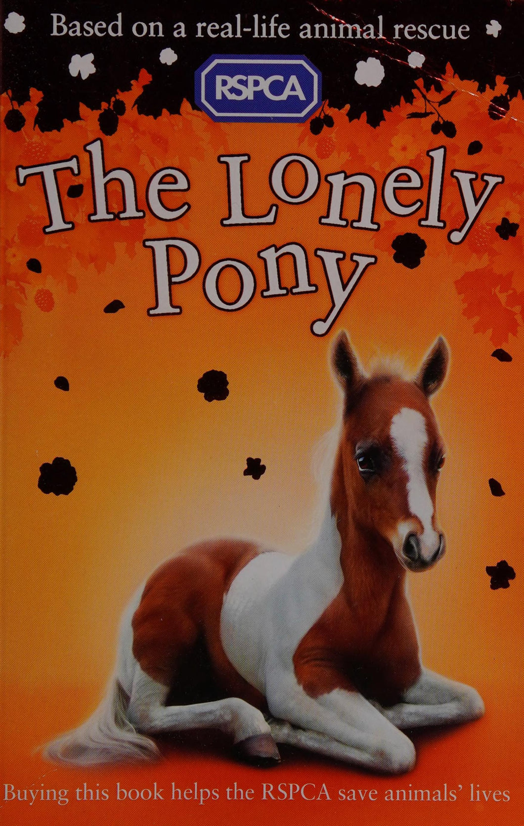 The Lonely Pony