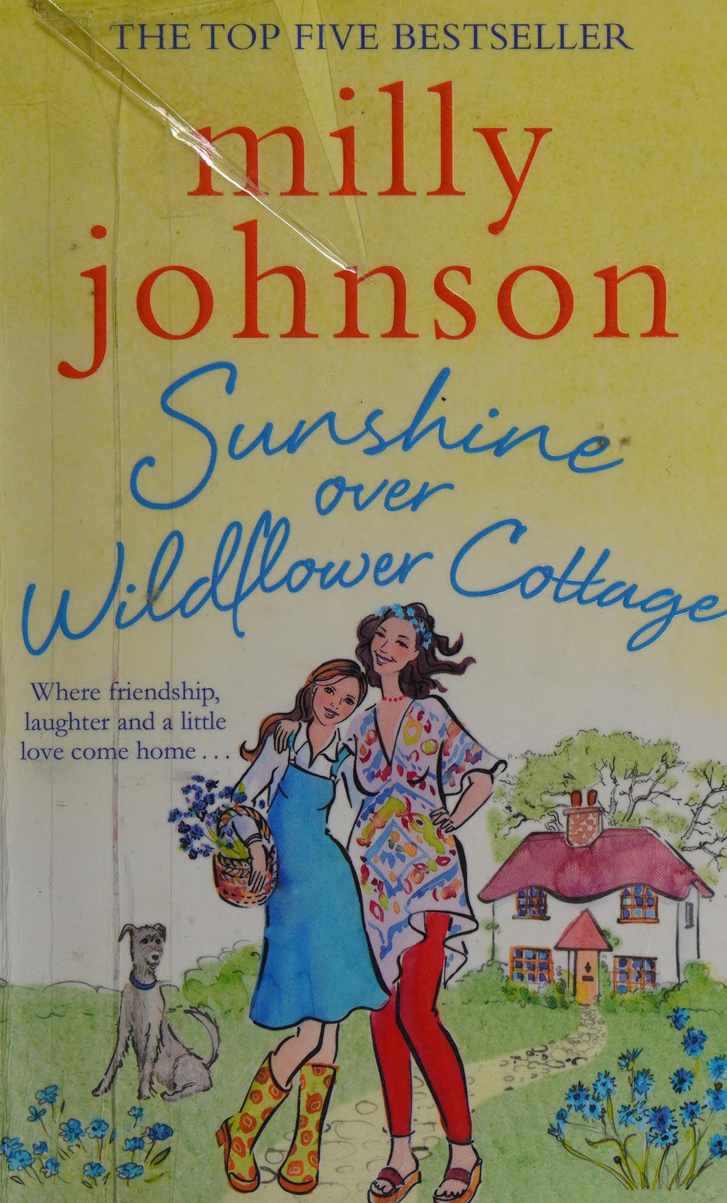 Sunshine Over Wildflower Cottage