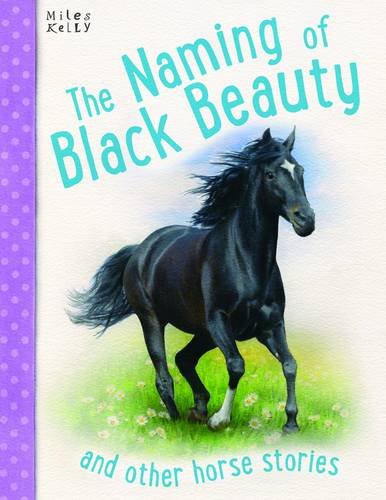 The Naming Of Black Beauty