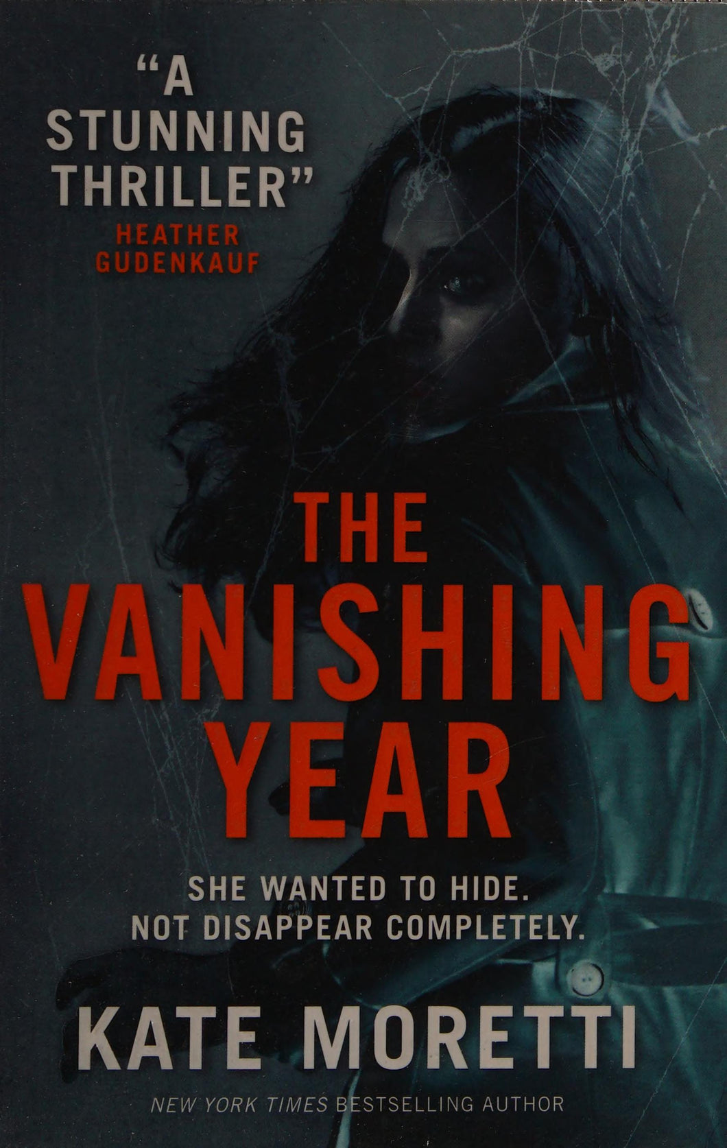 The  Vanishing Year