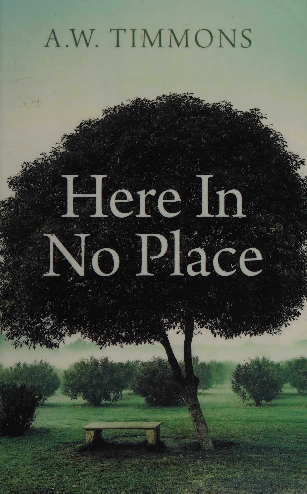 Here In No Place
