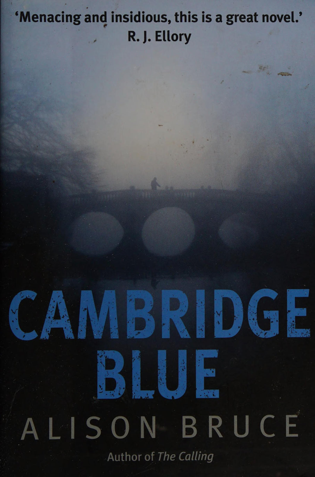 Cambridge Blue