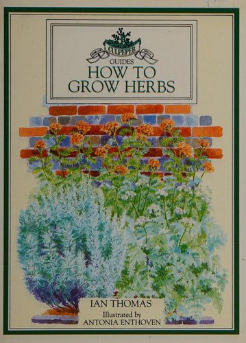 How To Grow Herbs