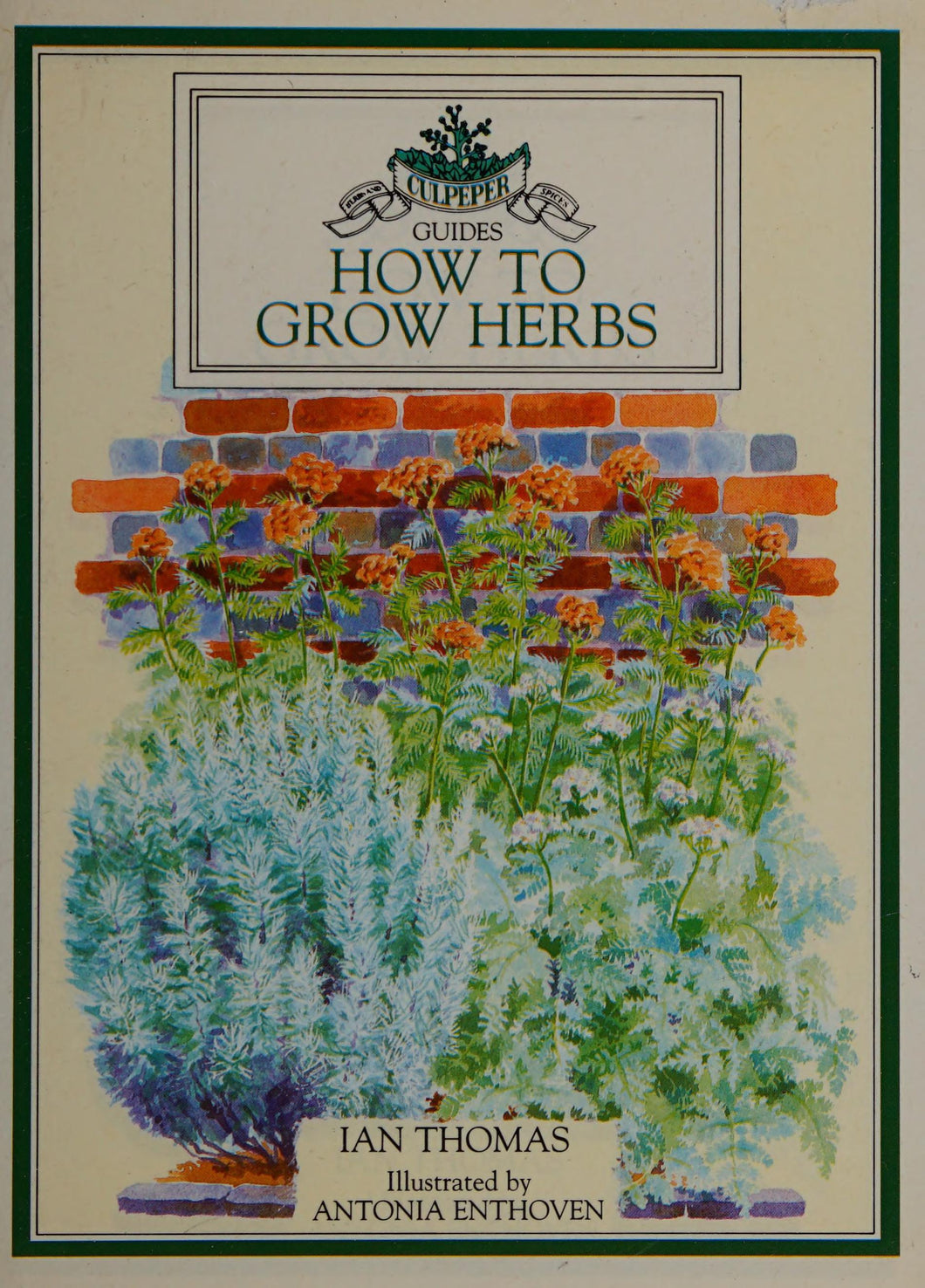 How To Grow Herbs