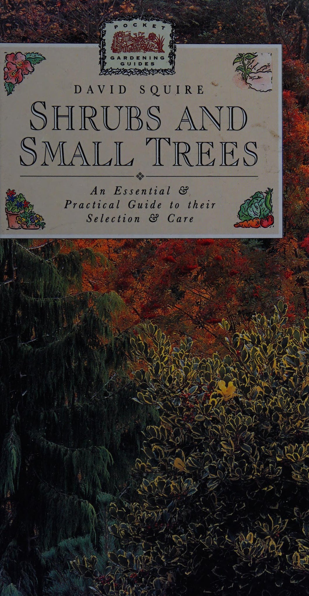 Shrubs And Small Trees