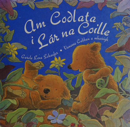 Am Codlata I Lar Na Coille