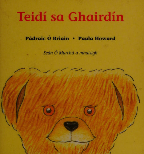Teidi Sa Ghairdin