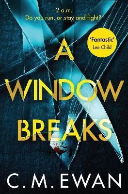 A WINDOW BREAKS