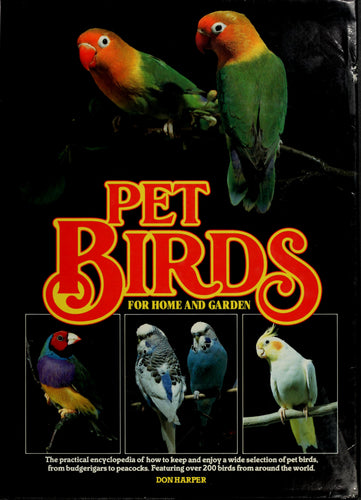 Pet Birds For Home And Garden