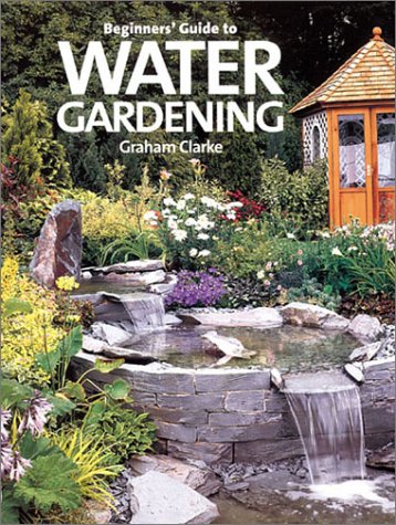 Beginners Guide To Water Gardening