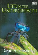 Life In The Undergrowth