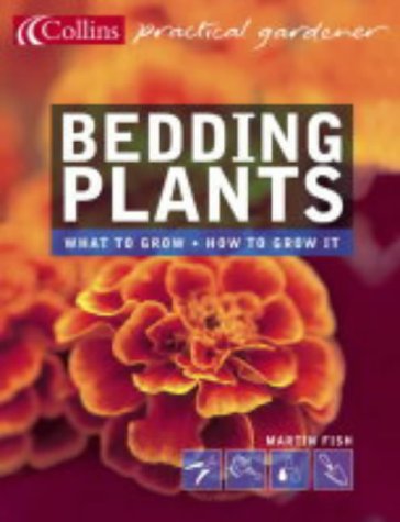 Bedding Plants